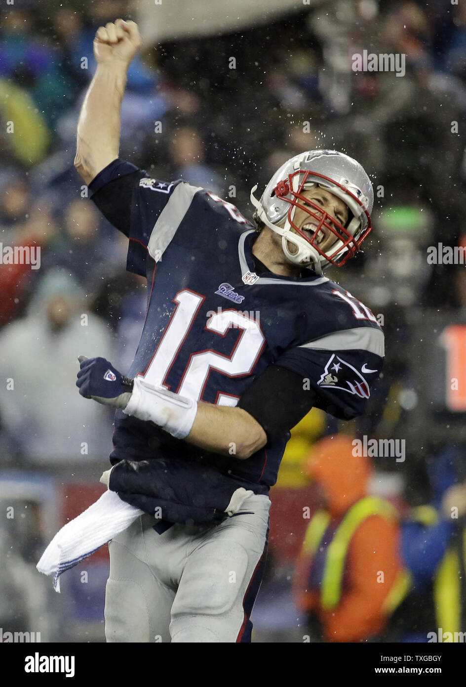 New England Patriots Qb Tom Brady, Super Bowl Xlix Champions