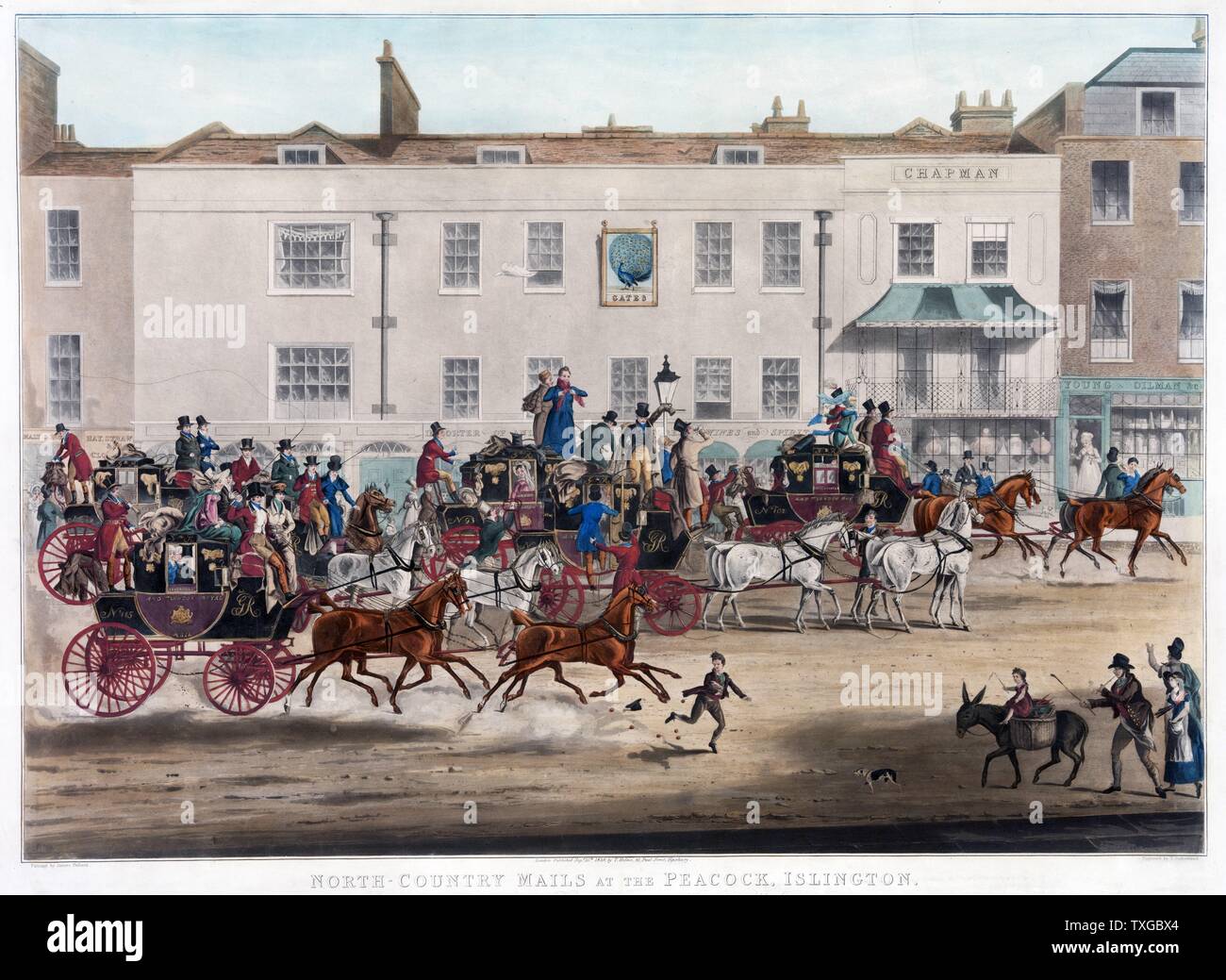 North-country mails at the Peacock, Islington. Print shows several passenger and mail coaches on street in front of the Peacock building in Islington, London, England. Stock Photo