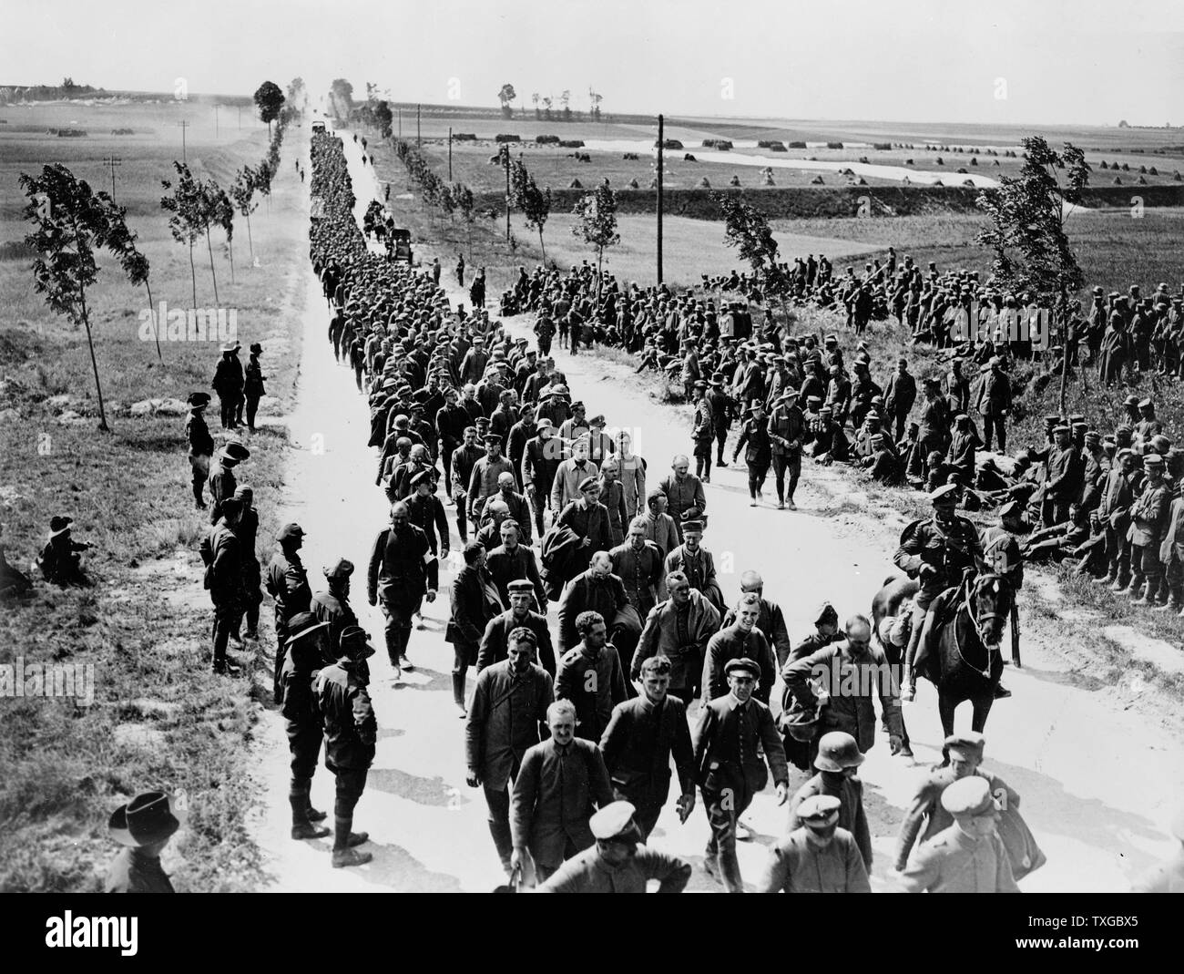 Official photograph taken on the British Western Front in France. German prisoners in batches of 1,000 arriving at a prisoners of war cage. Photograph shows a long line of German soldiers, prisoners of war, walking along roadway, somewhere in France. Stock Photo