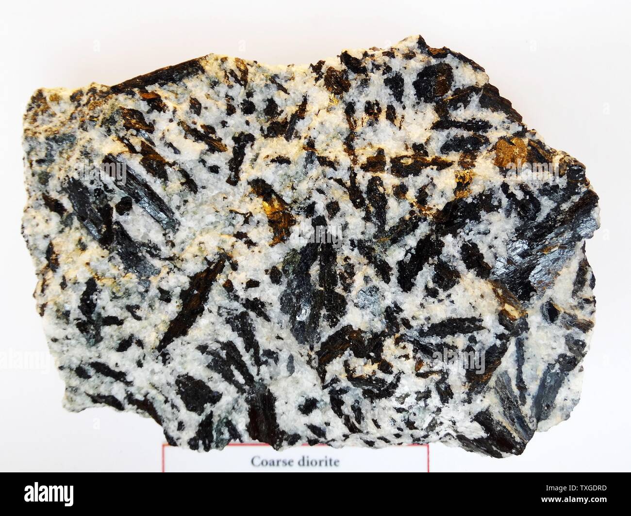 Coarse Diorite from Lochnagar, Aberdeenshire. Diorite is an intrusive igneous rock that contains a mixture of feldspar, pyroxene, hornblende and sometimes quartz. Stock Photo