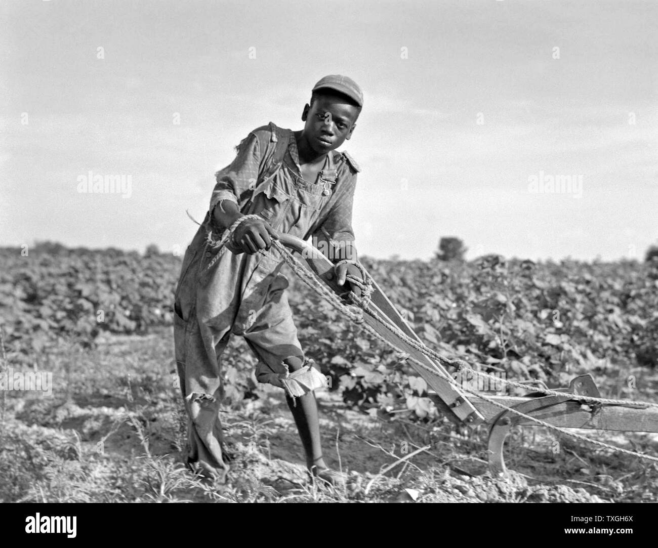 Dorothea Lange: teenage sharecropper in a field in Georgia, Usa in the Great Depression Era 1937 Stock Photo