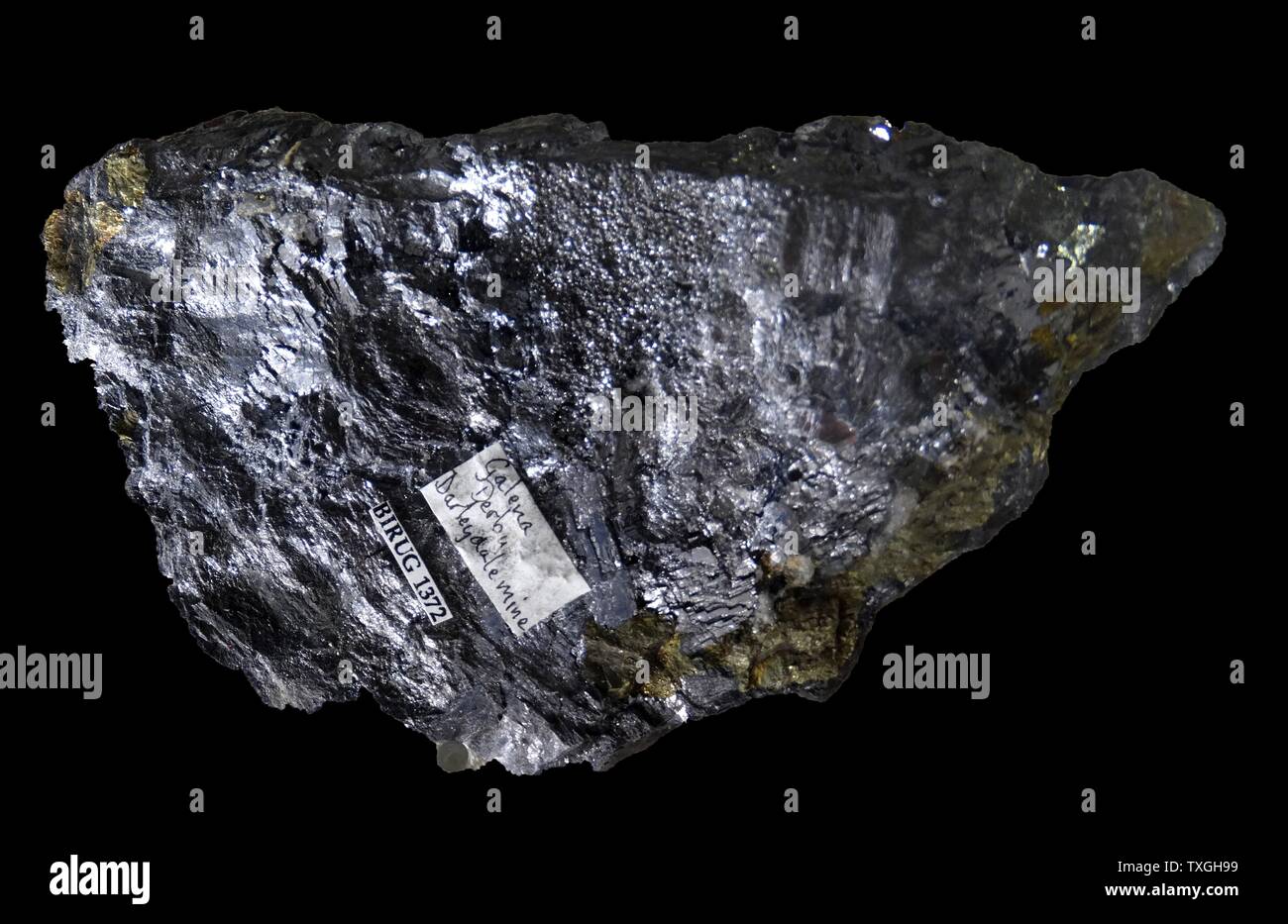 Galena, the natural mineral form of lead sulphide. It is the most important ore of lead and an important source of silver Stock Photo