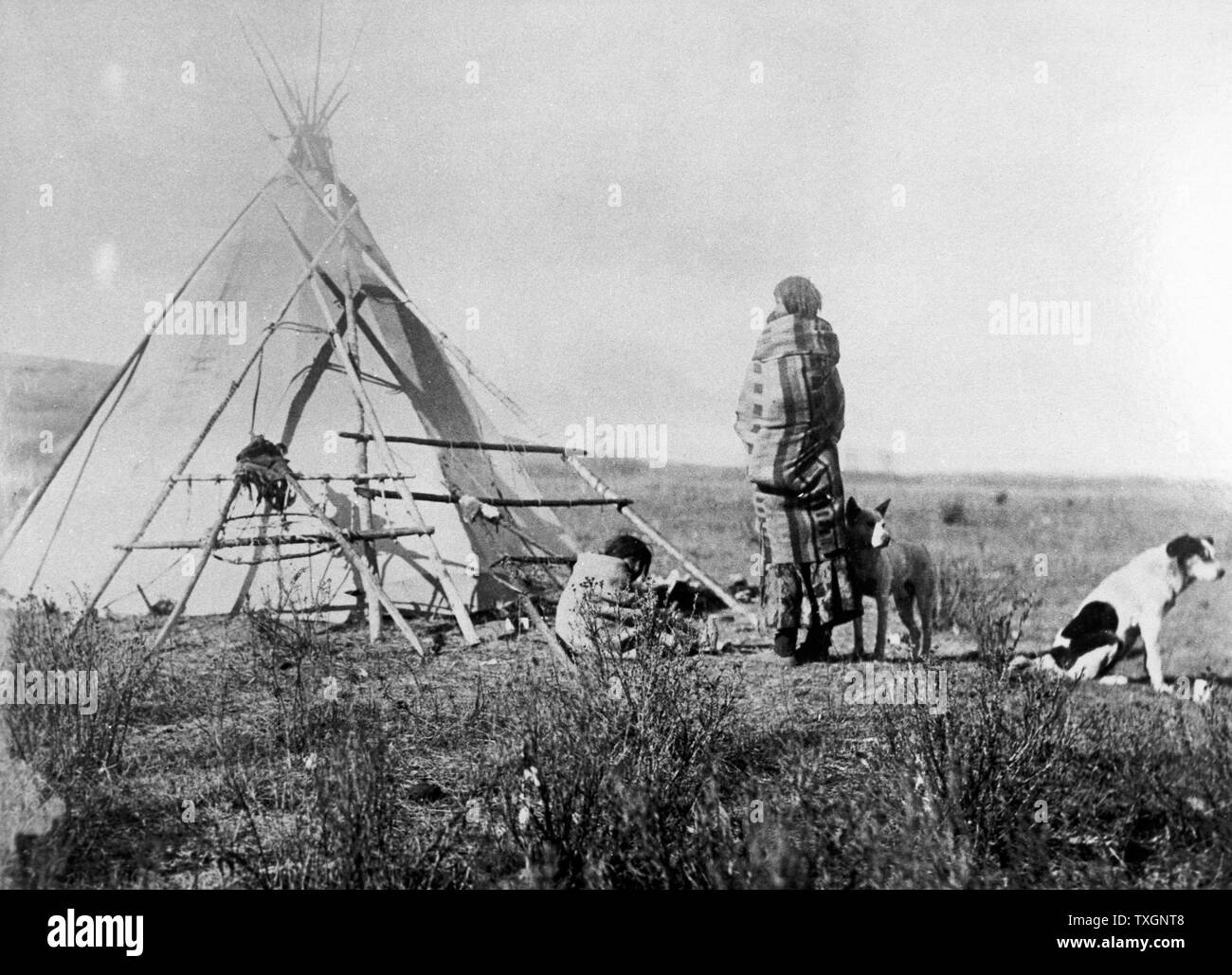 Cree North American Indian squaw with her papoose on her back, standing outside her tepee with an older child and two dogs. From photograph taken c1885-1890 Stock Photo