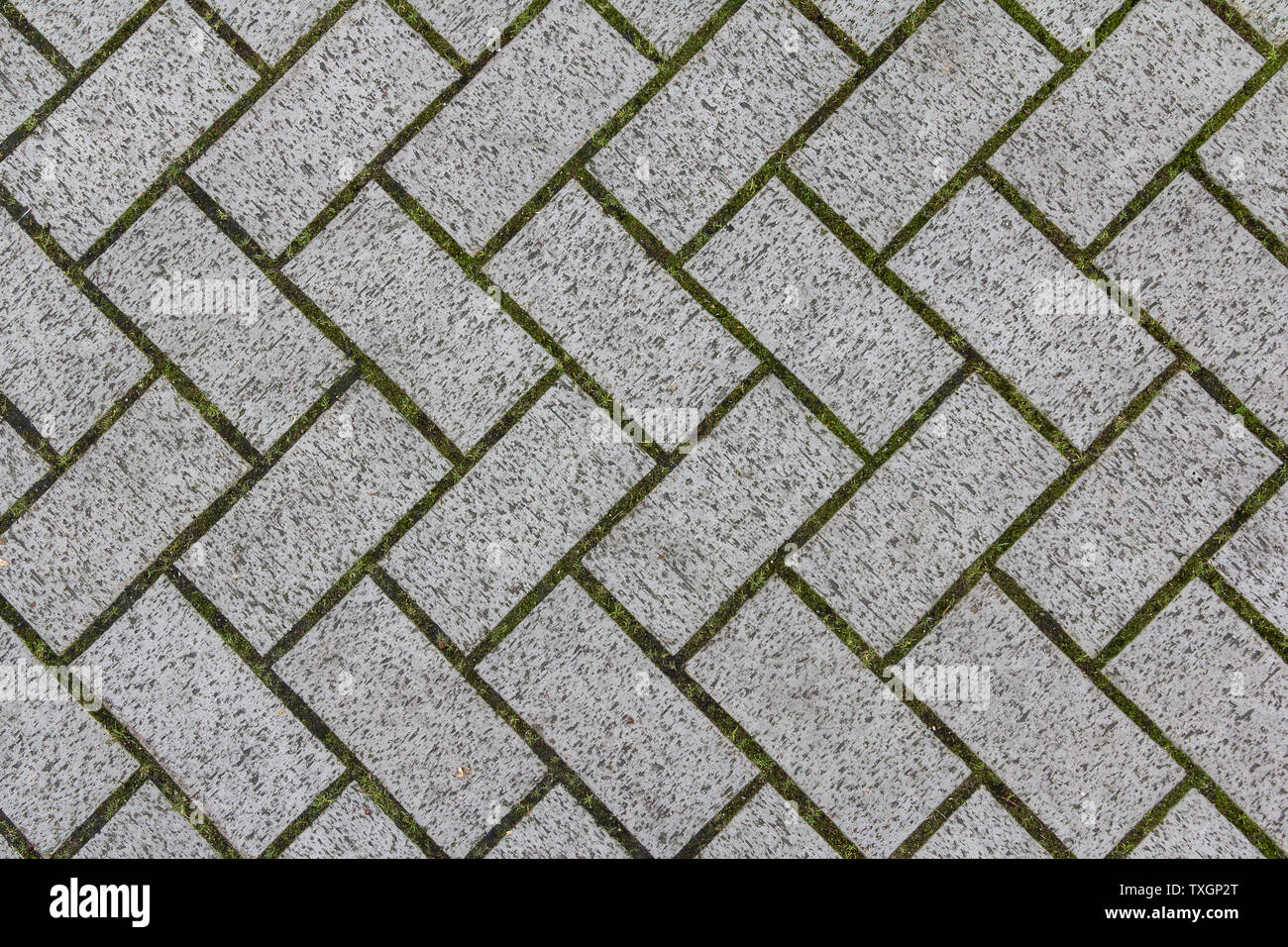 Concrete tile texture. City pavement background. Abstract stone brick