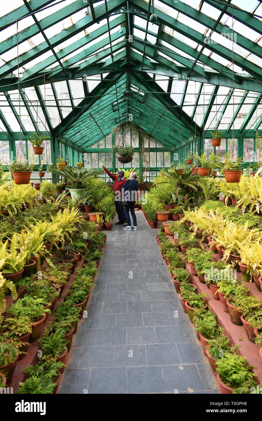 The Fern House at the Government Botanical Gardens, Ooty