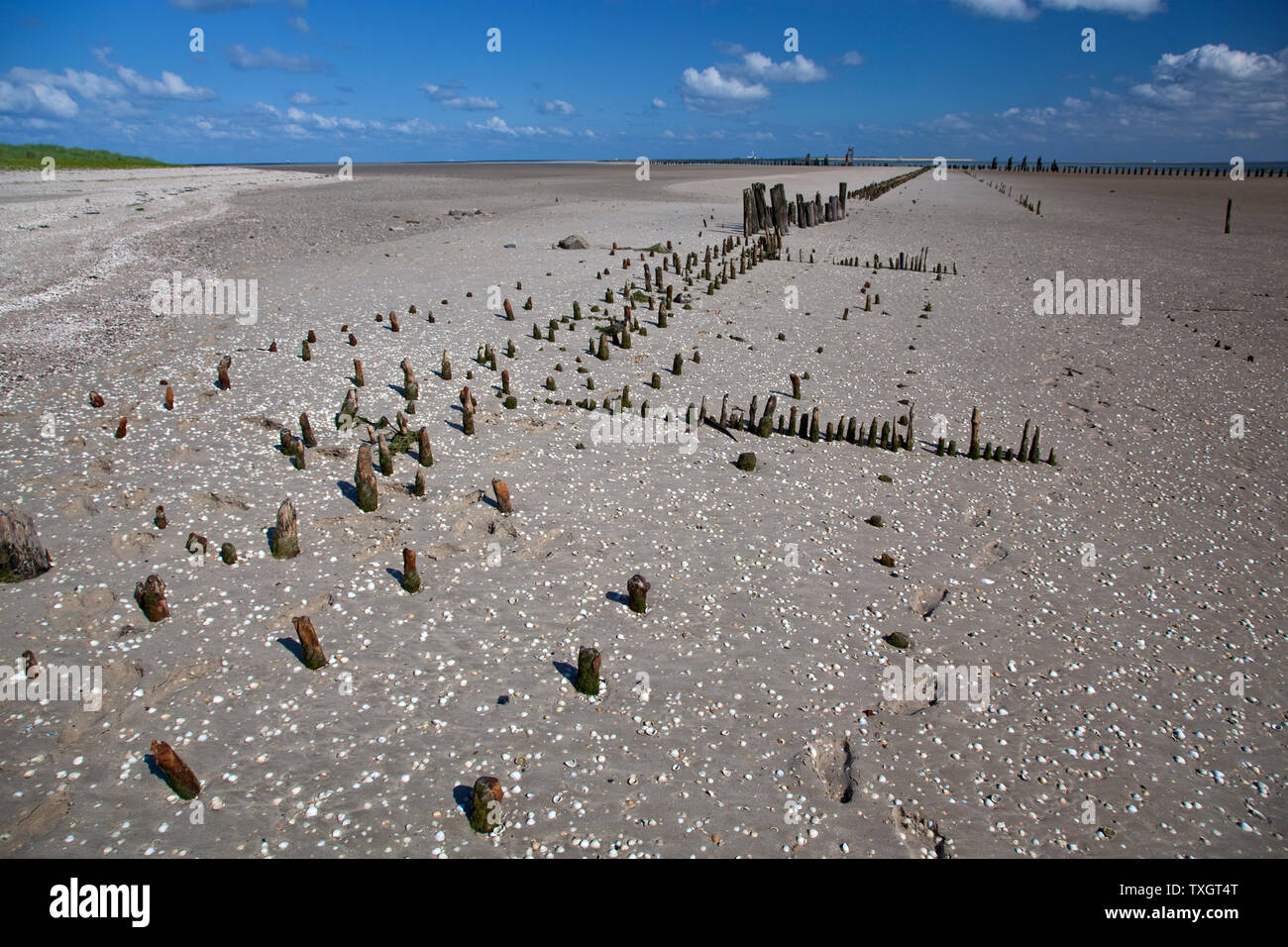 geography / travel, Germany, Lower Saxony, groyne on the beach, East pier, Wangerooge Isle, East Frisi, Additional-Rights-Clearance-Info-Not-Available Stock Photo