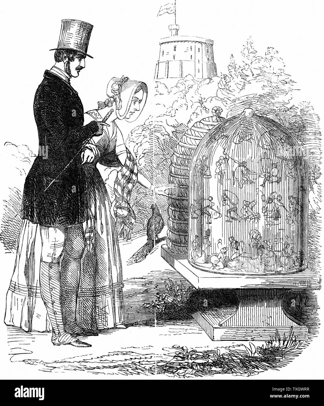 Albert (1819-1861) Prince Consort of Queen Victoria, introduced improved hives in royal apiaries, allowing honey to be harvested and bee colony (workers) preserved with just enough honey to exist over winter.  1844 Albert showing his hives to Victoria Cartoon from 'Punch', equating bees with exploited British labourers Stock Photo