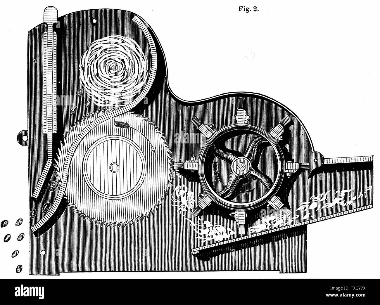 Cross-section of Elihu Whitney's (1765-1825) saw-gin for cleaning cotton.  Seeds can be seen ejected on left, while cotton fibres are passing on right 1865 Wood engraving Stock Photo