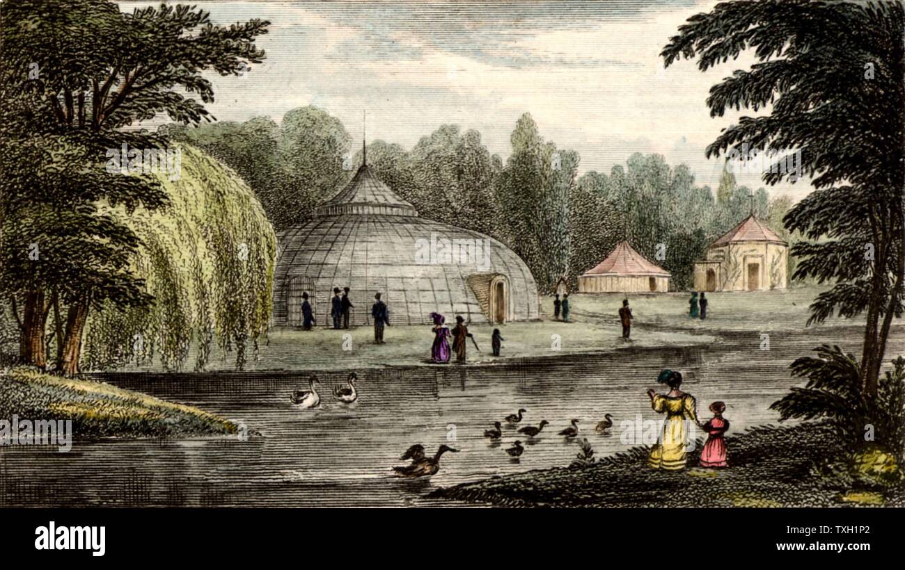 Surrey Zoological Gardens, Walworth, London, England. Engraving after the drawing by Thomas Hosmer Shepherd. In about 1830 Edward Cross kept his menagerie here, and in 1830 exhibited an Indian rhinoceros for which he paid £800. Conservatory 300 ft in circumference containing over 6,000 sq ft of glass, and at the time the largest glass building in England. Coloured engraving. Stock Photo