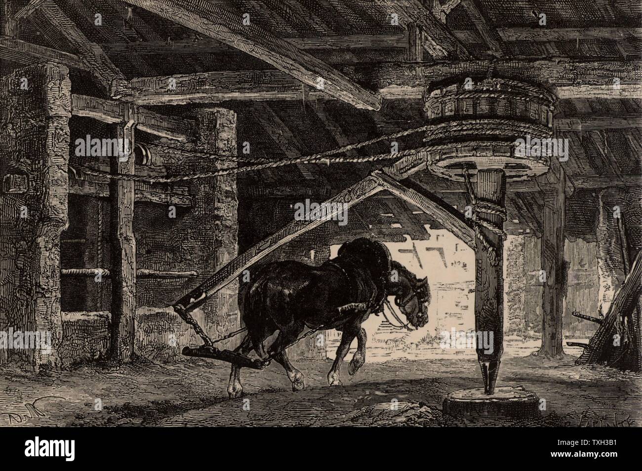 A horse-whim or horse-gin.  Such a device was used to raise coal from the bottom of a mine.   From  'Underground Life; or, Mines and Miners' by Louis Simonin (London, 1869). Wood engraving.  Mining. Stock Photo