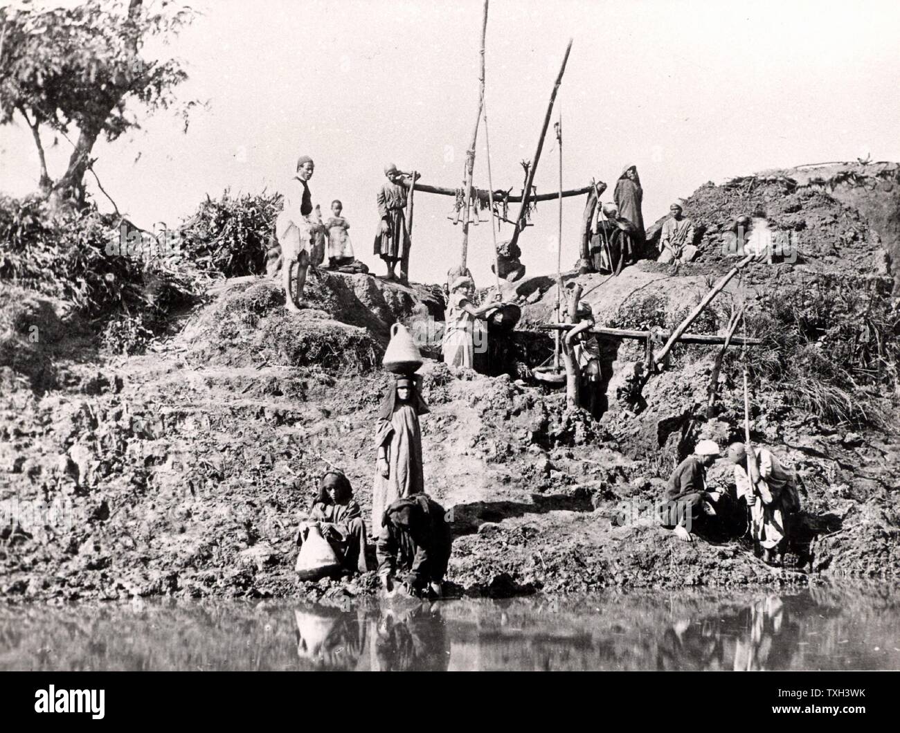 A shaduf or shadoof being used to raise water, Egypt, late 1880s. The shaduf has been used for irrigation for at least as early as 1500 BC. Photograph. Stock Photo