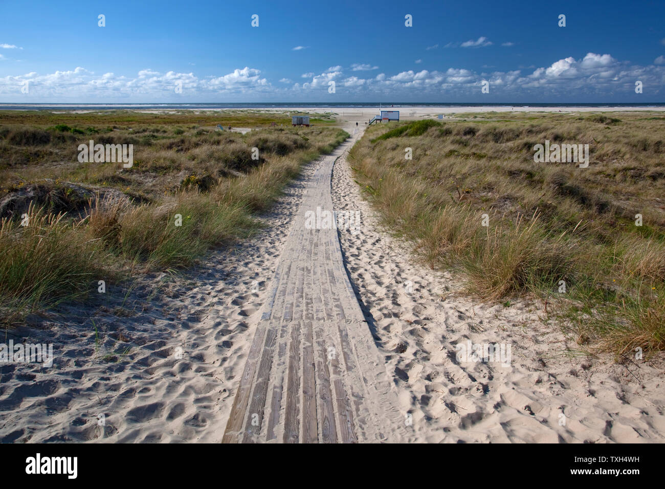 geography / travel, Germany, Lower Saxony, East Frisian Islands, Borkum, way by means of dunes to the , Additional-Rights-Clearance-Info-Not-Available Stock Photo