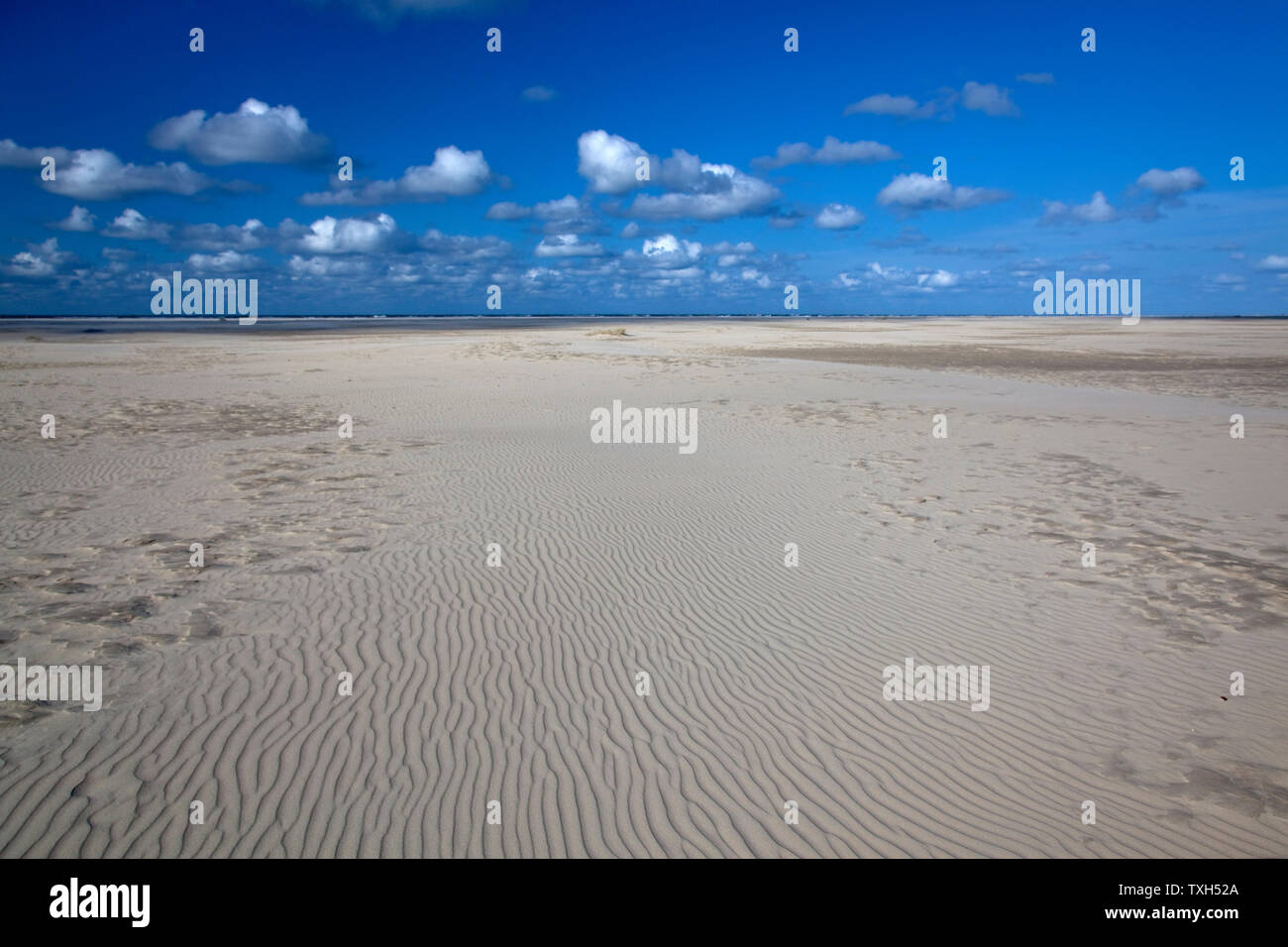 geography / travel, Germany, Lower Saxony, East Frisian Islands, Borkum, Northern sandy beach, Additional-Rights-Clearance-Info-Not-Available Stock Photo