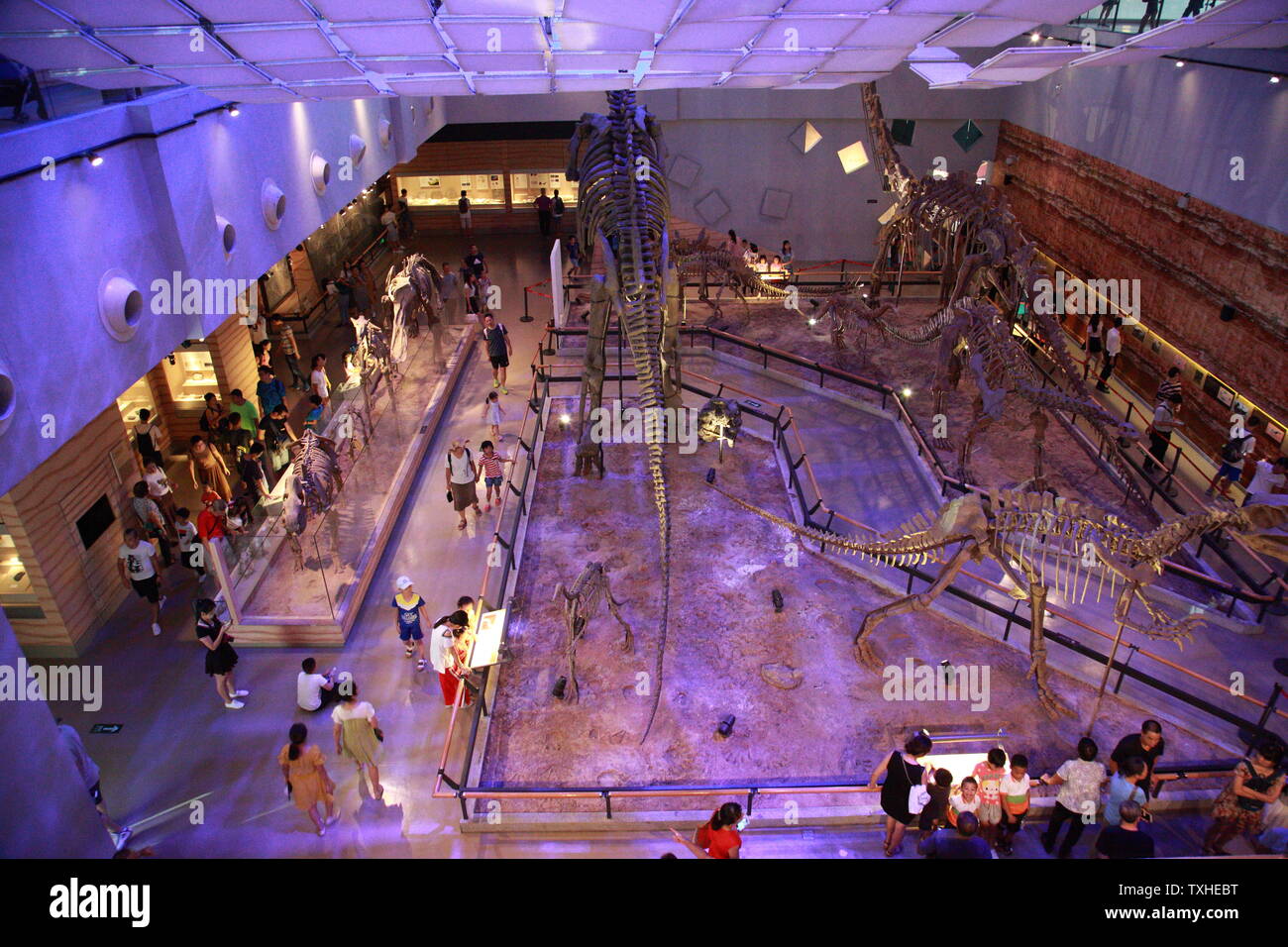 Guangdong Museum Stock Photo