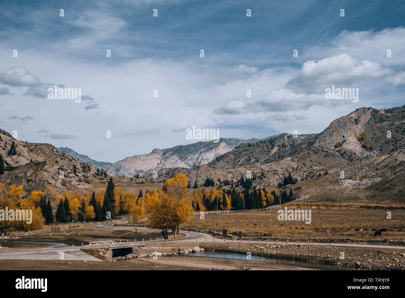 Natural scenery of the wilderness of Xinjiang Stock Photo