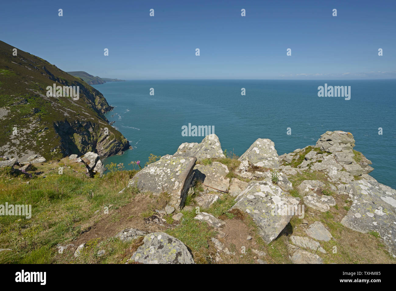 Rocky outcrop, on cliff top, by Heddon Valley, Devon. Stock Photo