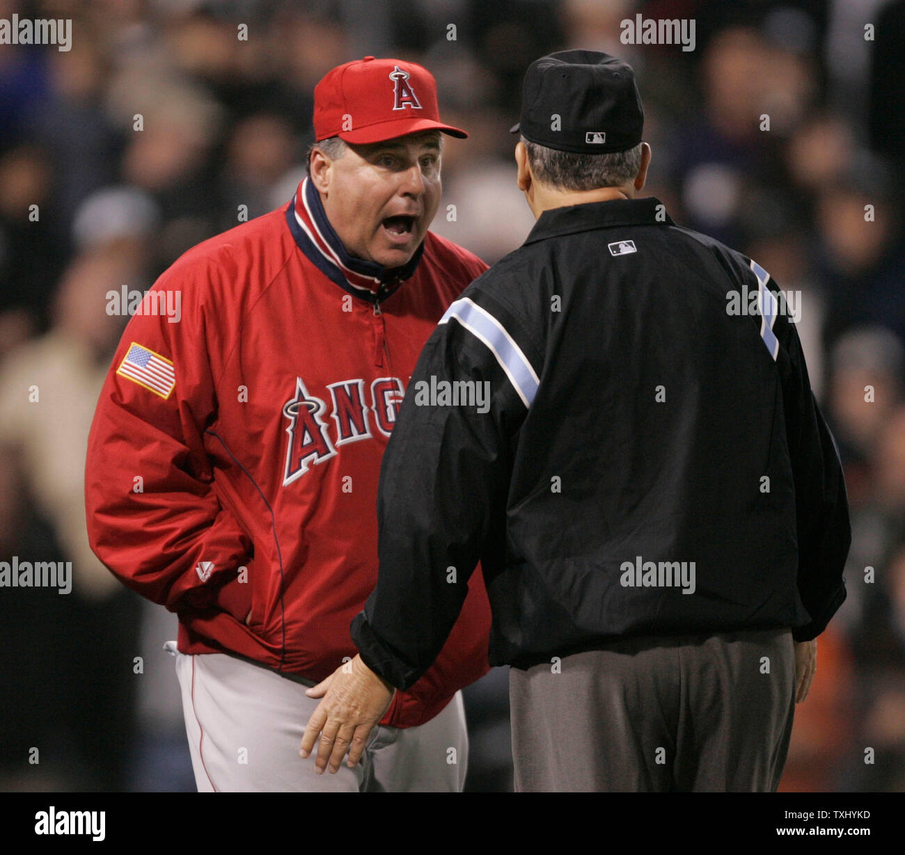 Mike Scioscia Is in a Joe Torre Situation