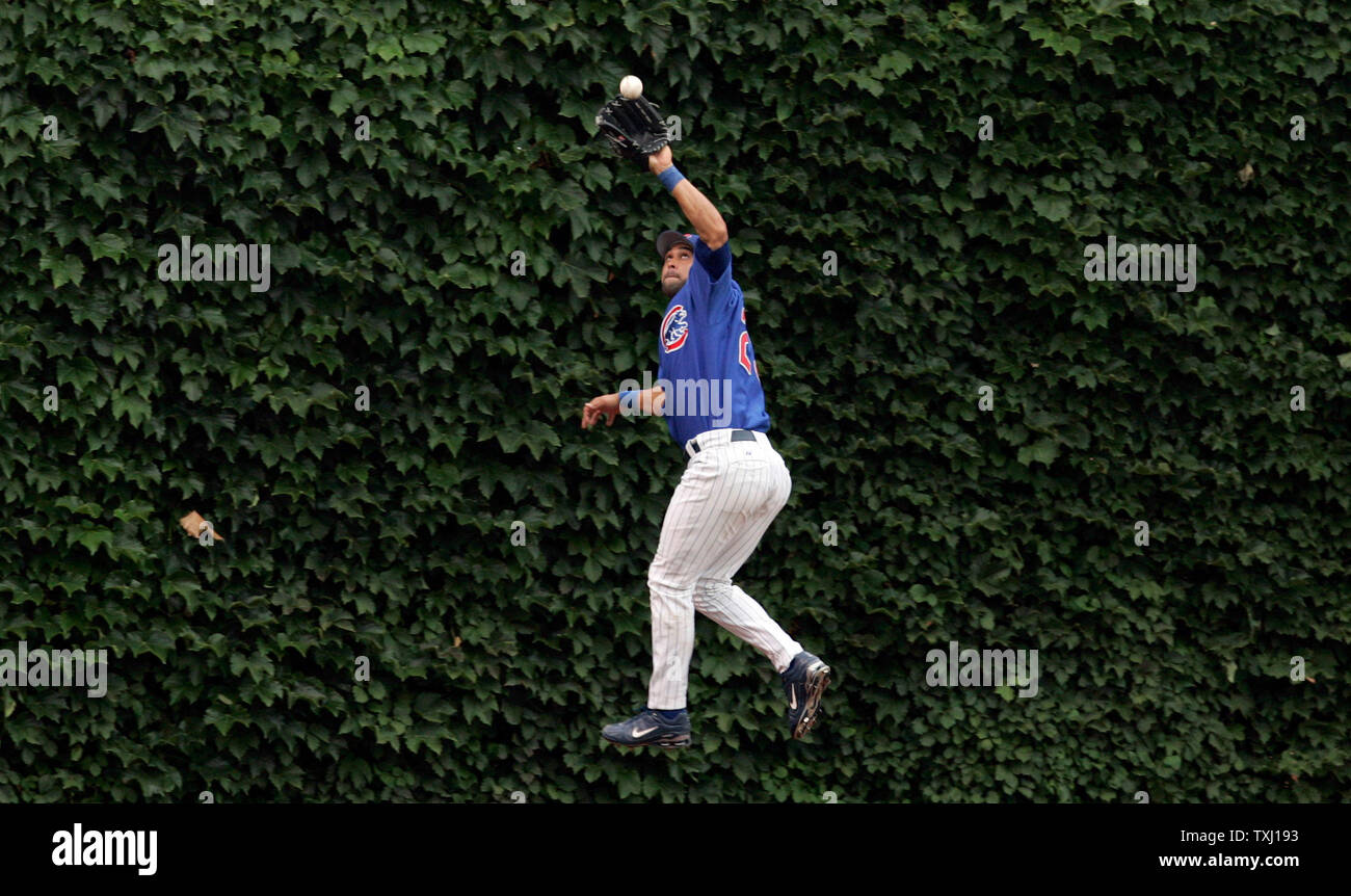 Cubs selling Wrigley Field ivy leaves from 2016 season for $200 a pop