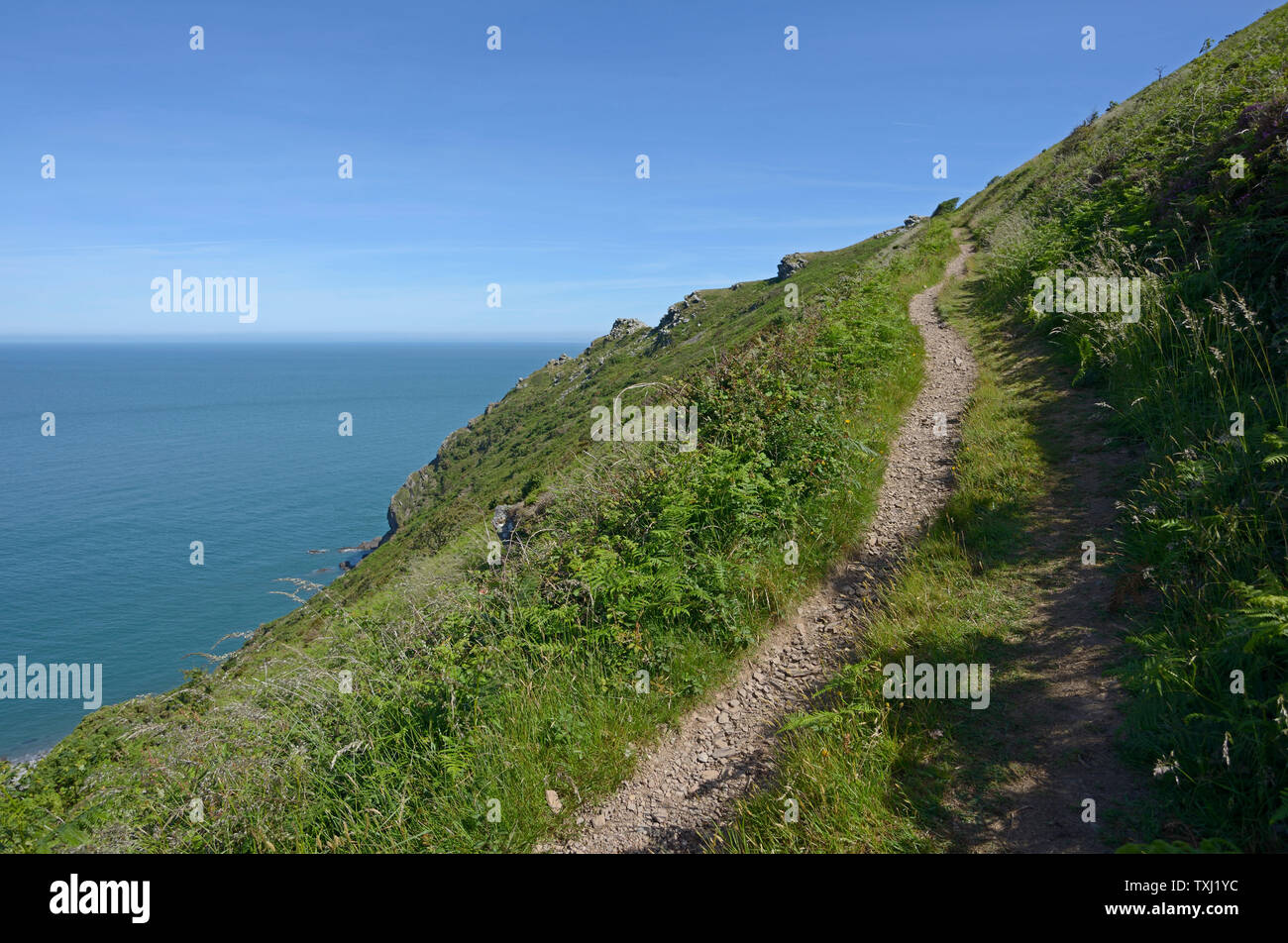 Track to the hill top, on coast trail, Devon, England. Stock Photo