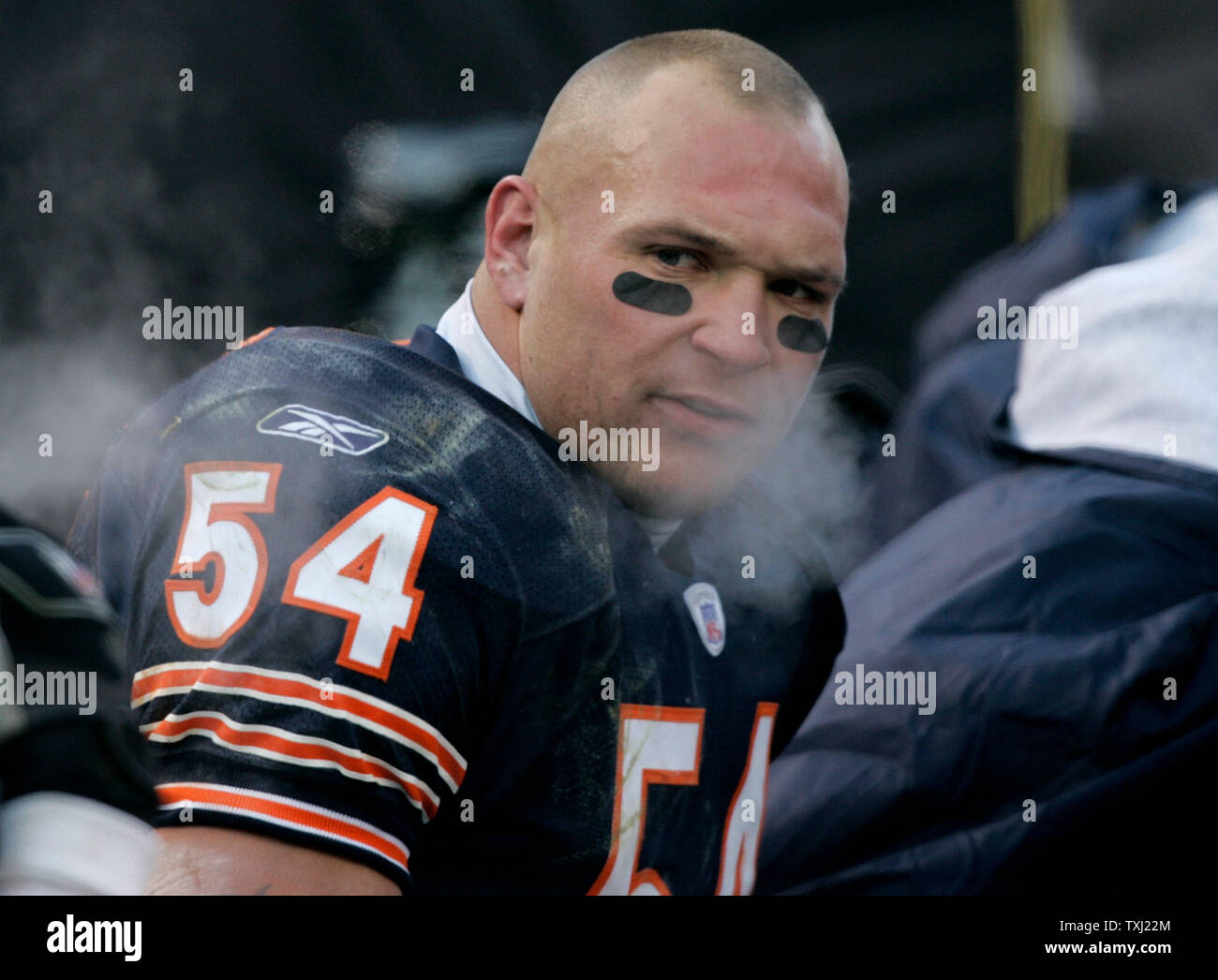 Brian Urlacher Stock Photos Brian Urlacher Stock Images Page 2