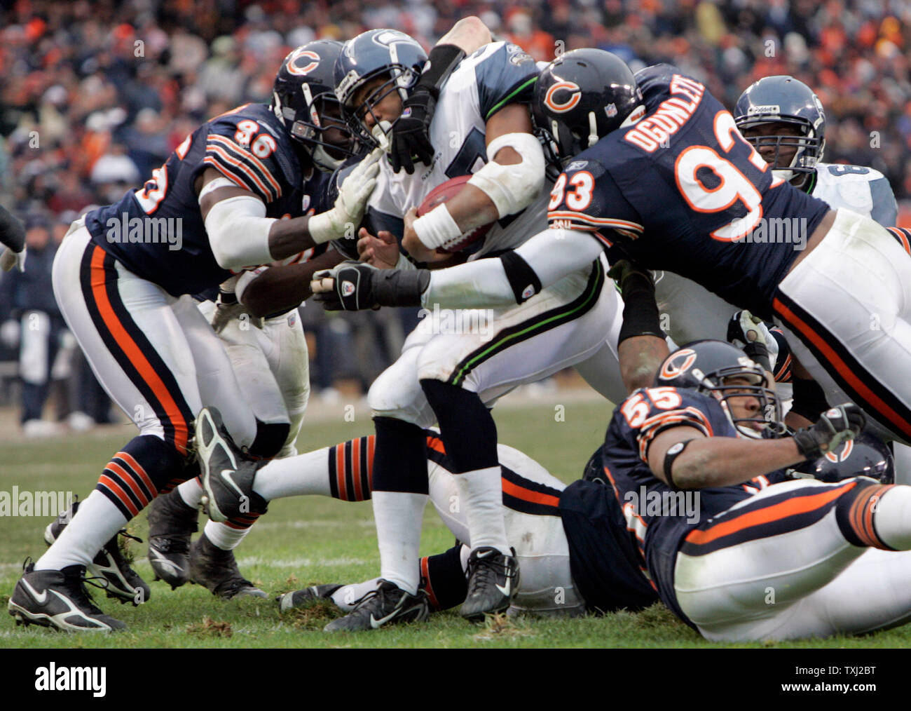 Alex brown chicago bears hi-res stock photography and images - Alamy