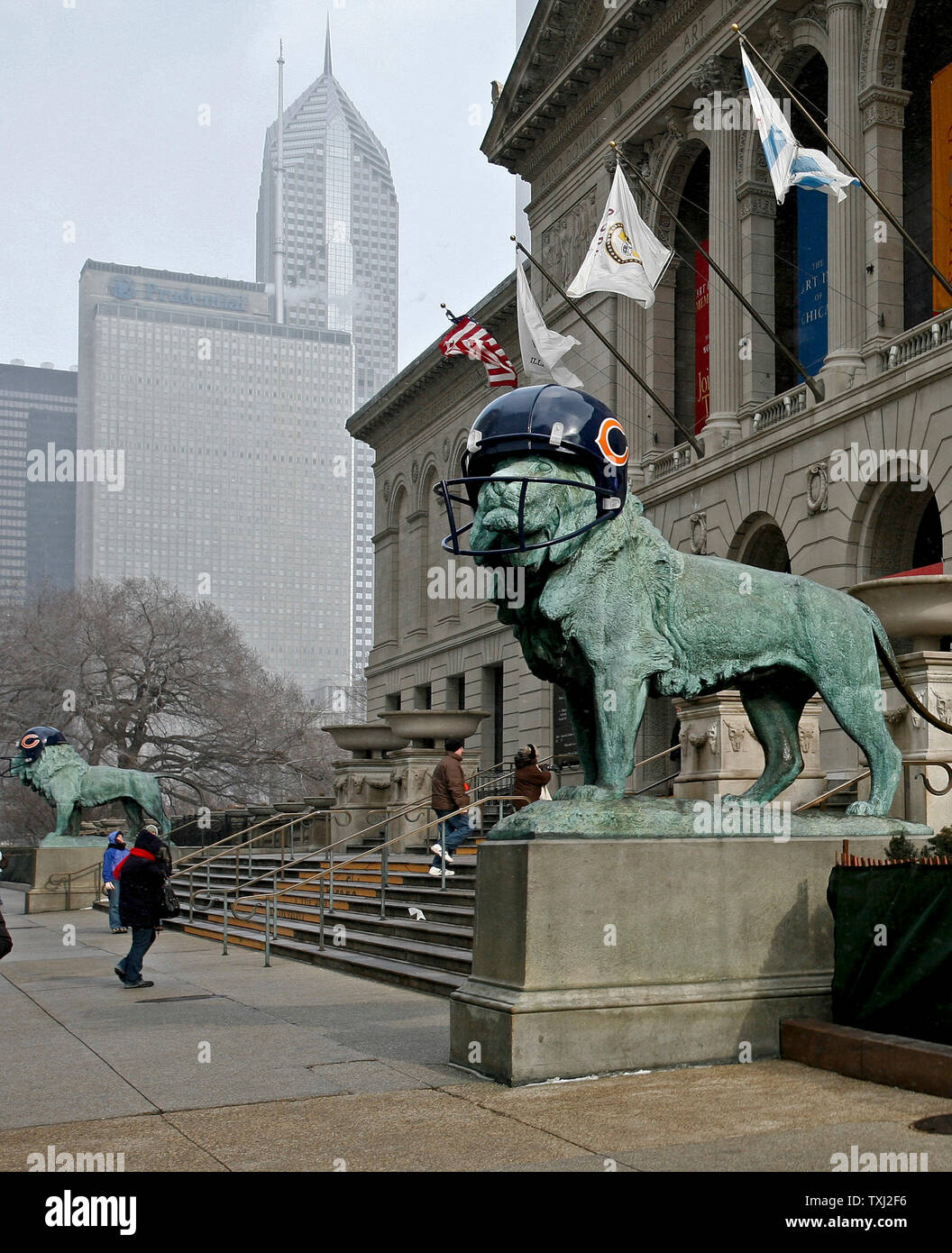 Two bronze lions wear fiberglass Chicago Bears helmets at The Art Institute of Chicago on February 2, 2007, in Chicago. The lions were fitted with fiberglass helmets to celebrate the Bears winning season. The Bears play the Indianapolis Colts in Super Bowl XLI on Sunday. (UPI Photo/Brian Kersey) Stock Photo