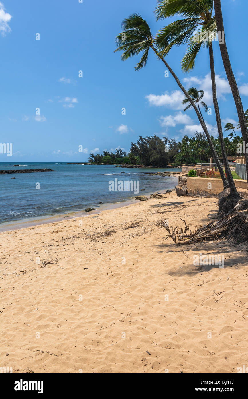 Sand beach in Waialua Bay in North Shore, Oahu, Hawaii Stock Photo Alamy