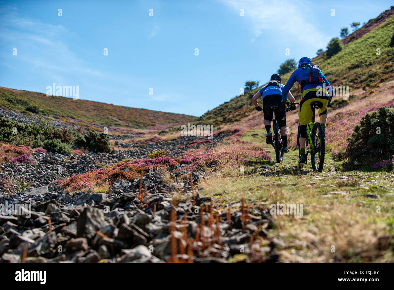 Two men ride mountain bikes up a path from Porlock Bay on the North Somerset Coast towards Selworth Beacon Stock Photo