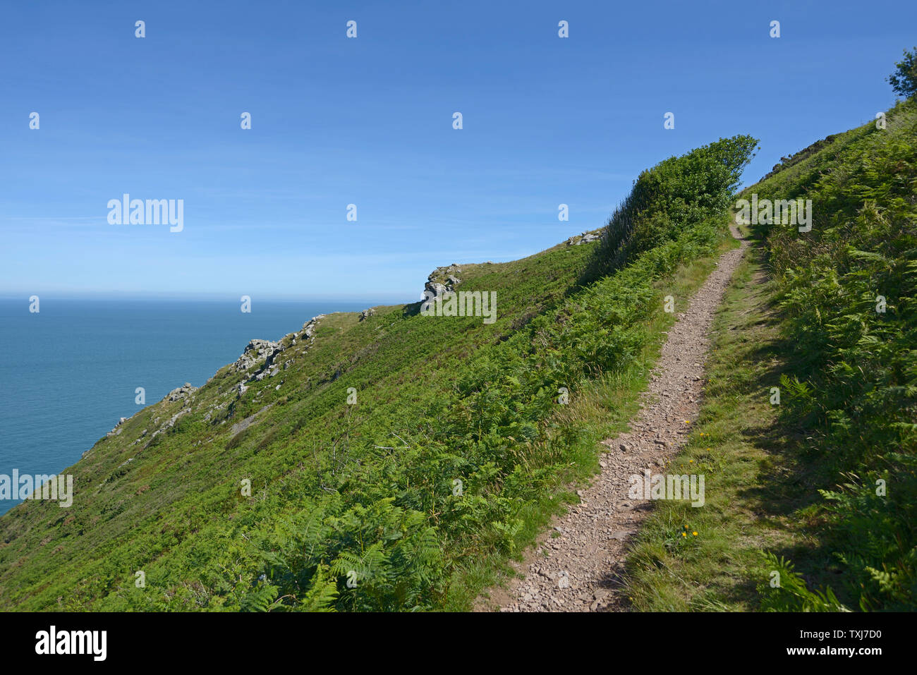 Path to cliff top, by Heddon Valley, Devon. Stock Photo