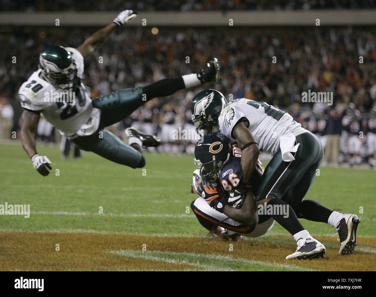 Chicago Bears receiver Marty Booker (C) hauls in a 22-yard touchdown reception as Philadelphia Eagles safeties Brian Dawkins (L) and Quintin Mikell defend during the second quarter on September 28, 2008 at Soldier Field in Chicago. (UPI Photo/Brian Kersey) Stock Photo