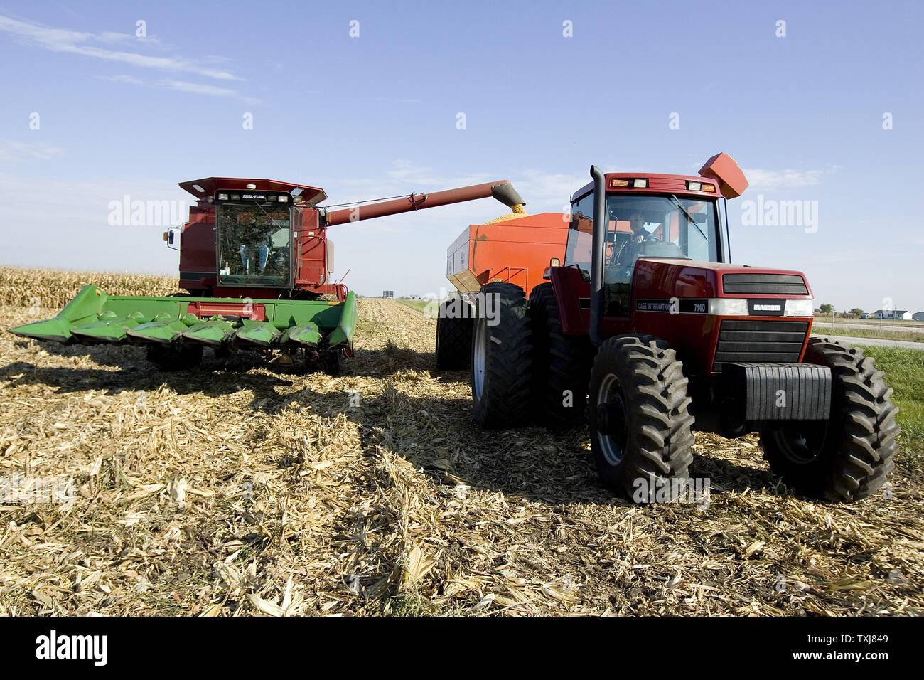 Brad Weber (L) harvests corn with his father Gary (R) on land he rents near Manteno, Illinois on October 20, 2008. Weber farms 450 acres part-time but hopes to acquire more land so that he can be a full-time farmer. Corn for December delivery rose $0.155 per bushel at the Chicago Board of Trade closing at $4.185 Monday as rebounding oil markets shift investor focus to commodities. (UPI Photo/Brian Kersey) Stock Photo