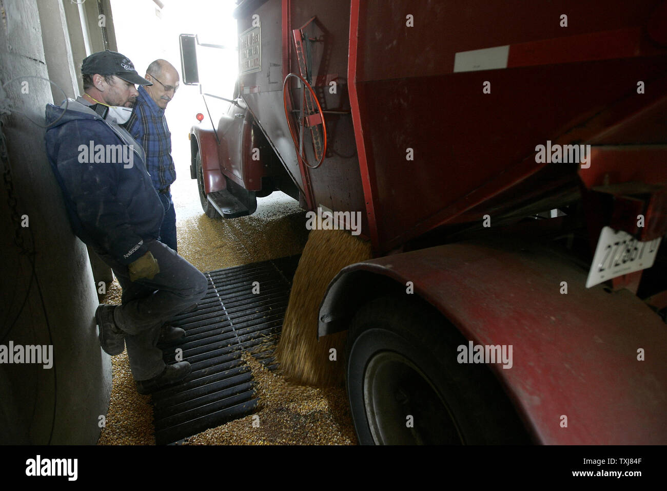 Gary Weber (L) stands with Chester Cleveland as he unloads his son's corn at the grain elevator in Manteno, Illinois on October 20, 2008. Corn for December delivery rose $0.155 per bushel at the Chicago Board of Trade closing at $4.185 Monday as rebounding oil markets shift investor focus to commodities. (UPI Photo/Brian Kersey) Stock Photo