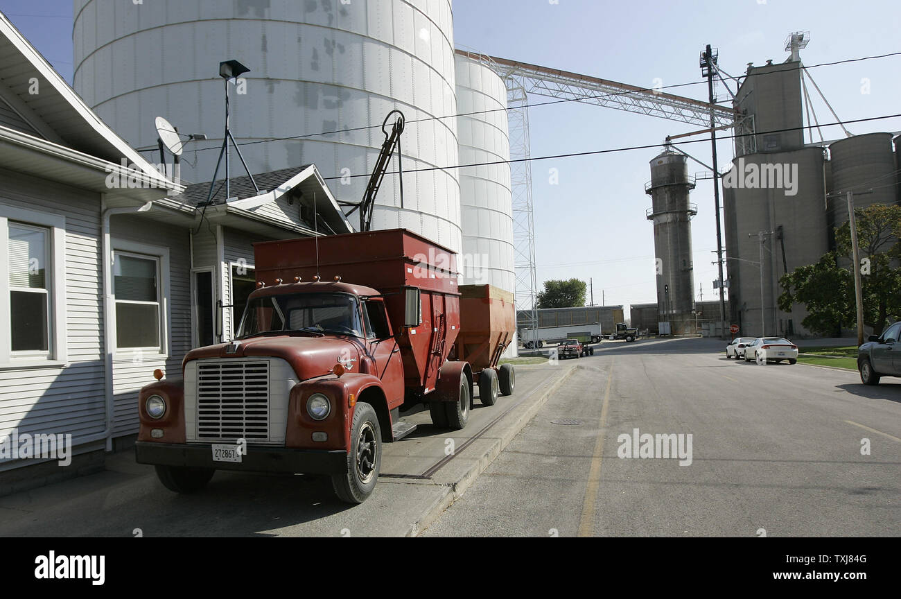 Gary Weber weighs his truck after unloading corn at the grain elevator in Manteno, Illinois on October 20, 2008. Corn for December delivery rose $0.155 per bushel at the Chicago Board of Trade closing at $4.185 Monday as rebounding oil markets shift investor focus to commodities. (UPI Photo/Brian Kersey) Stock Photo