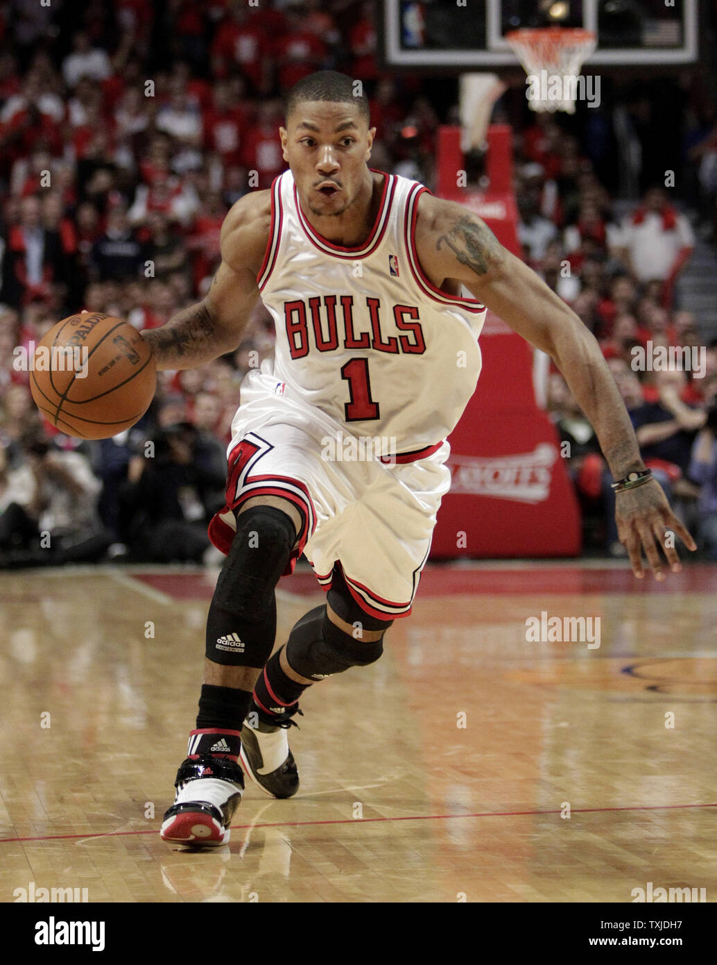 Rose de top chicago bulls