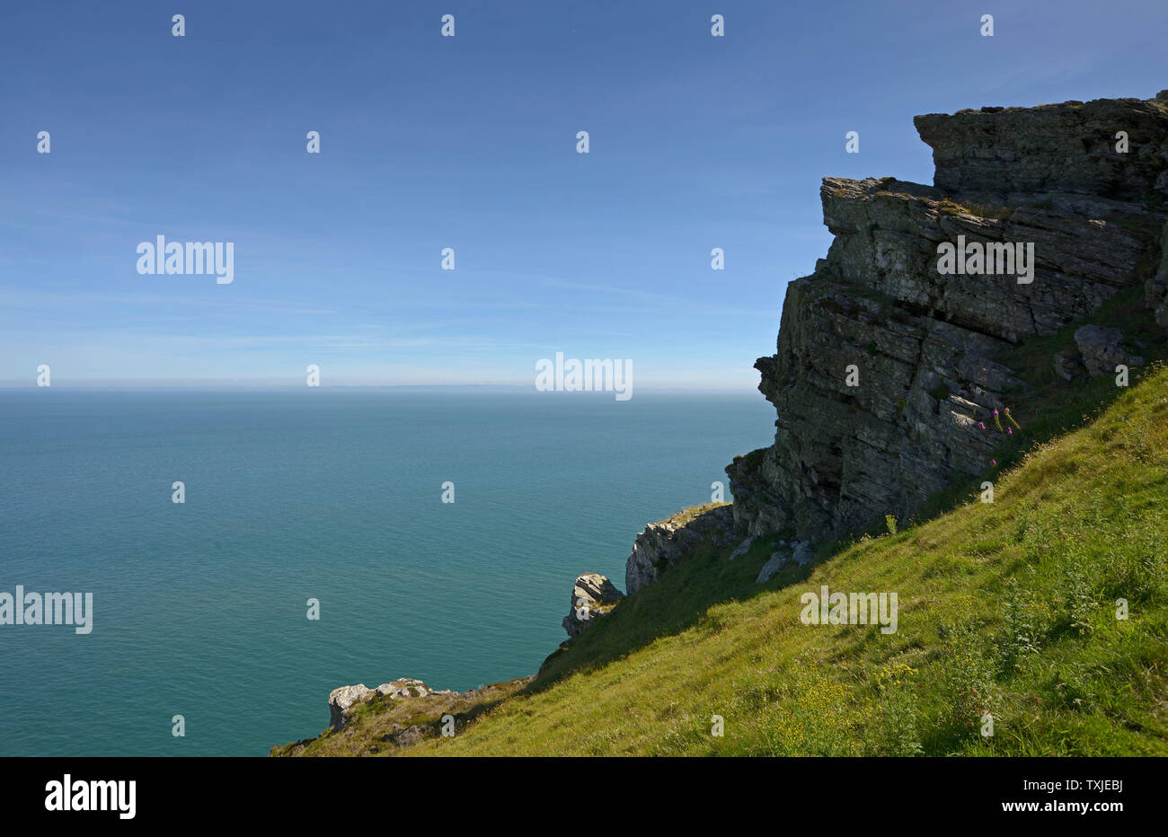 Rocky outcrop, on cliff top, by Heddon Valley, Devon. Stock Photo