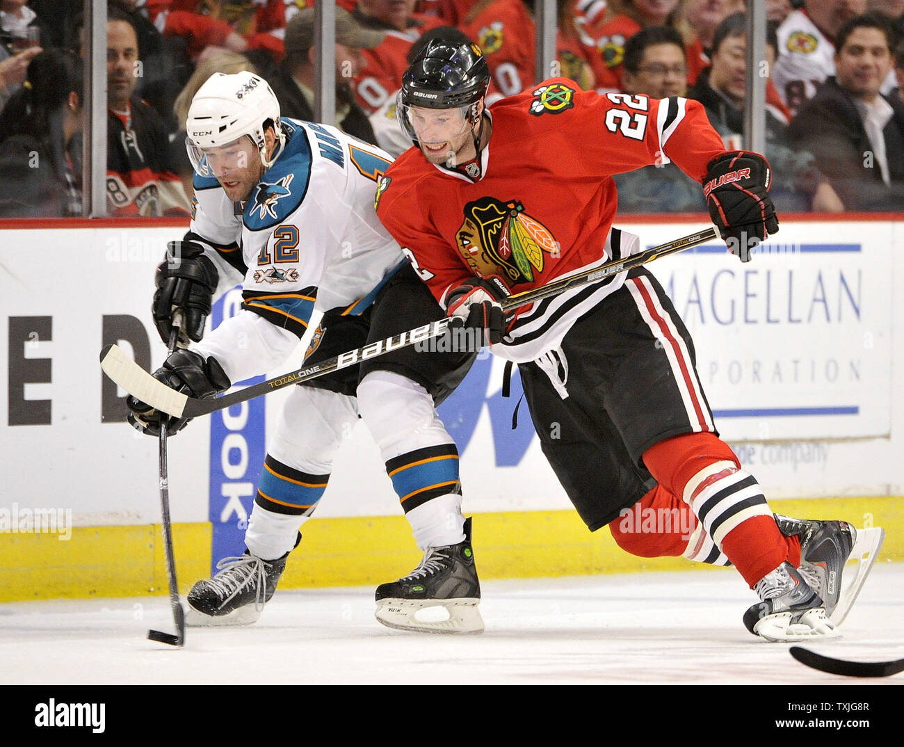 Patrick marleau hi-res stock photography and images - Alamy