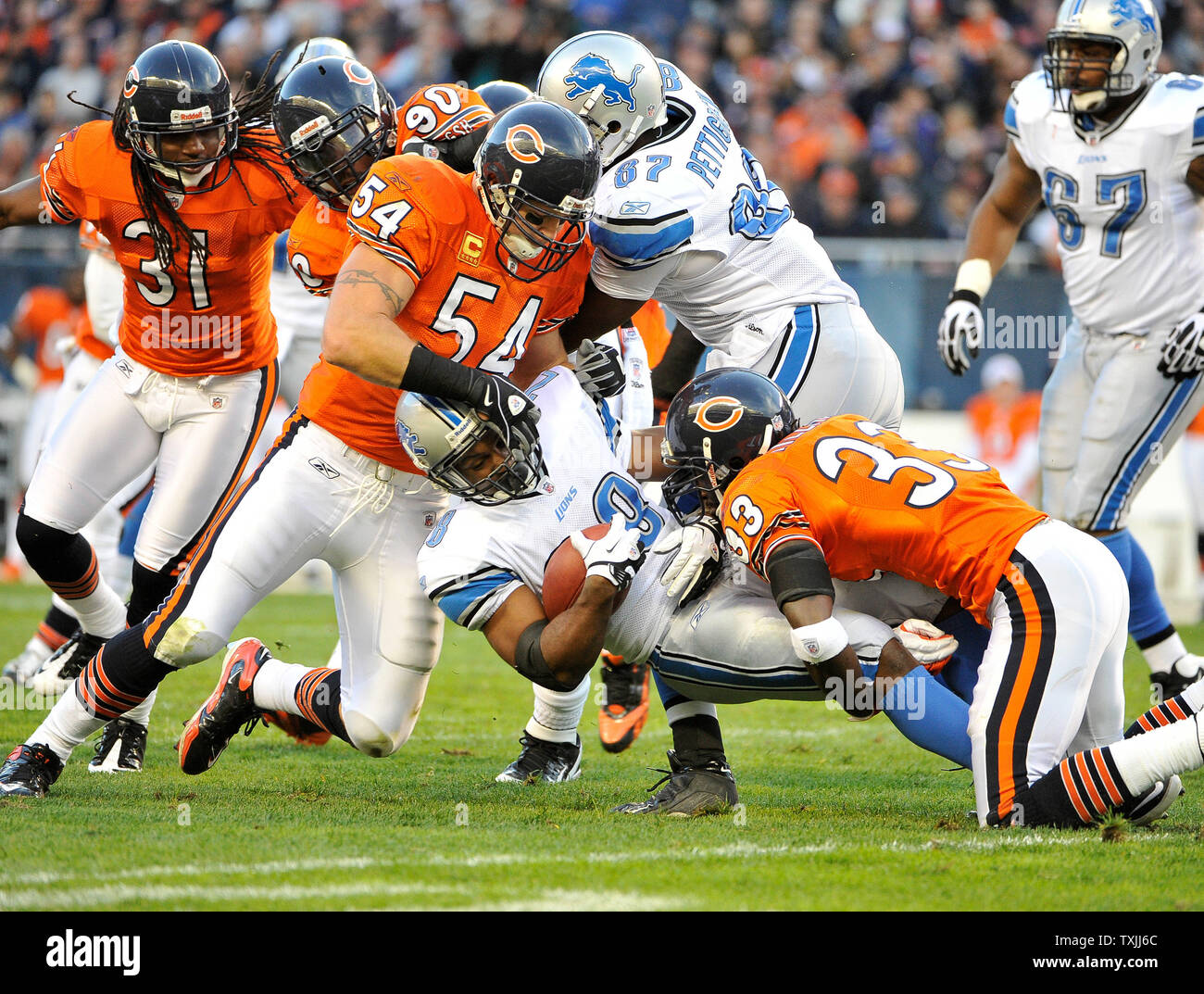 Photo: Bears Urlacher, Tillman and Briggs celebrate fumble recovery against  Lions in Chicago - CHI2010091222 