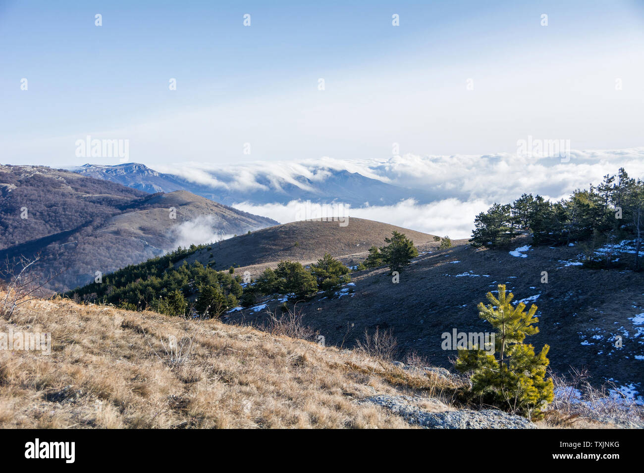 Trees and rocks. Mountain range Demerdzhi, the Republic of Crimea ...