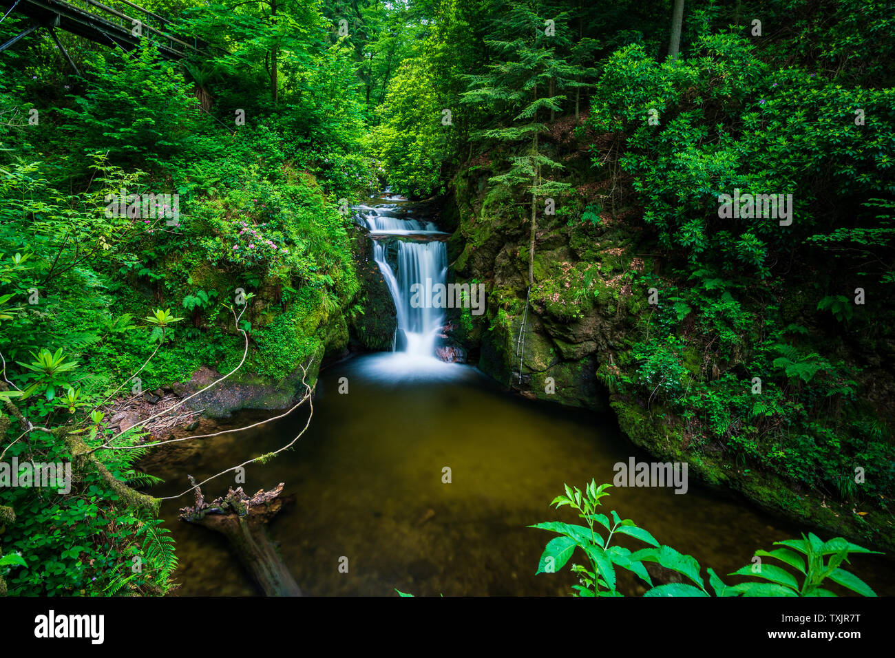 Beautiful Geroldsau Waterfall in Black Forest, Germany Stock Photo