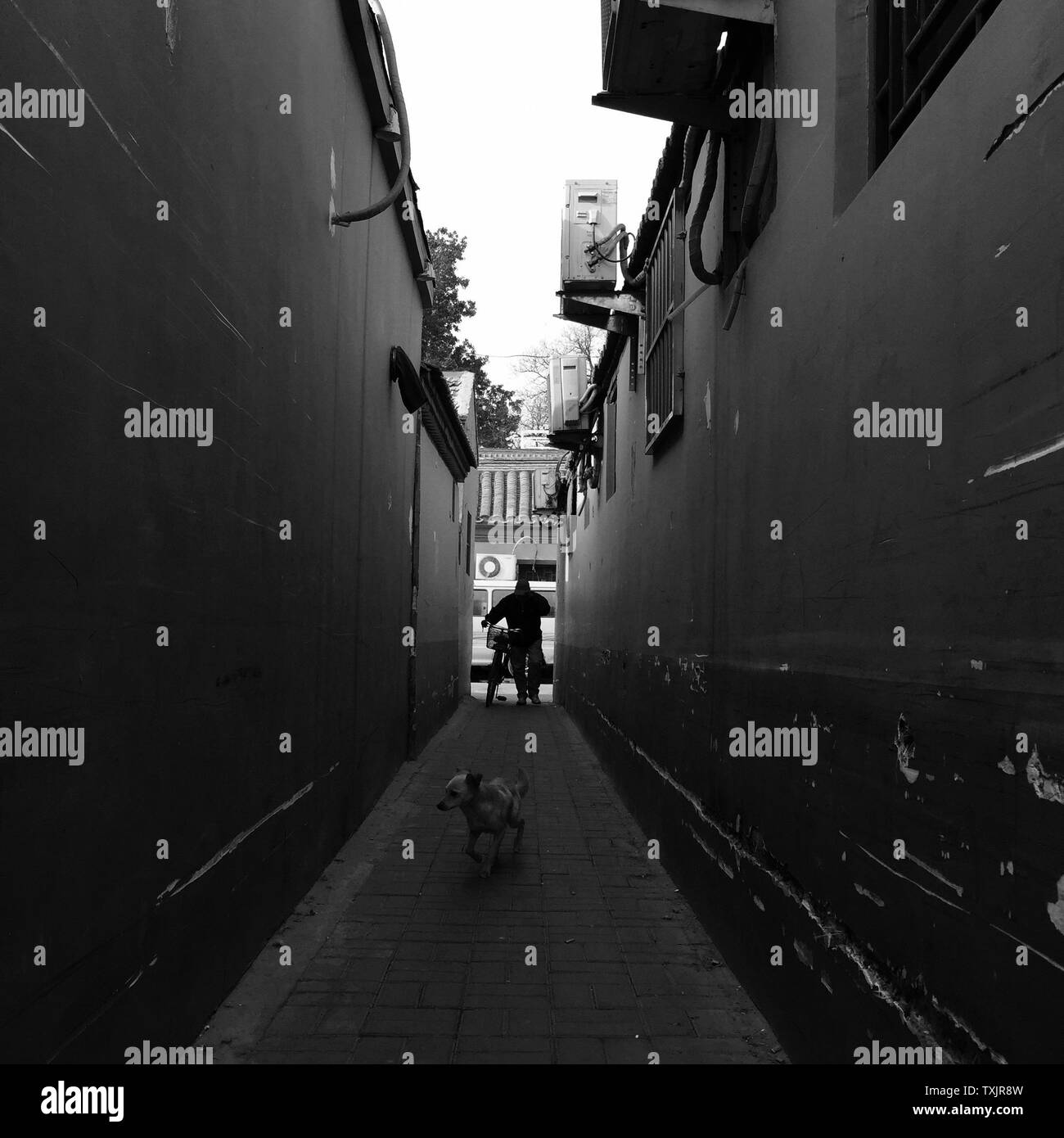 Beijing subway Black and White Stock Photos & Images - Alamy