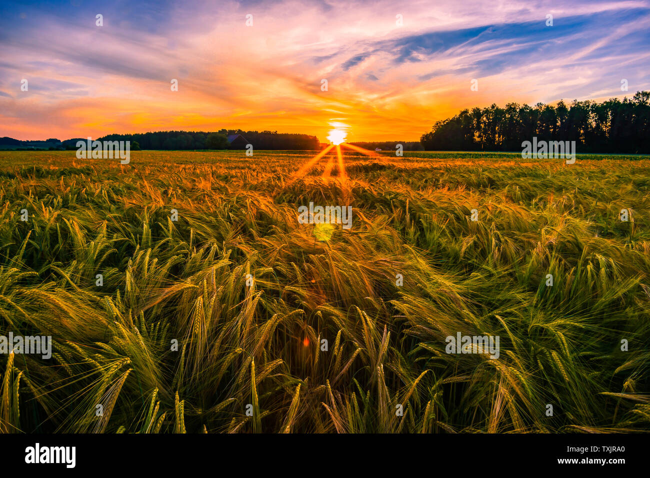 Sunset on the field in bavaria germany Stock Photo