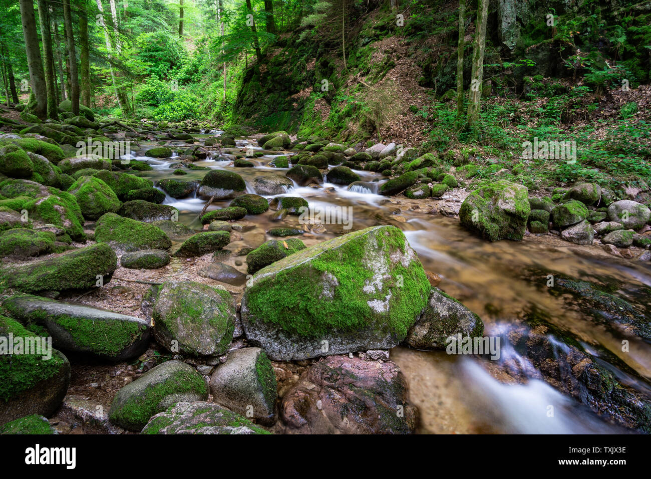 Beautiful Geroldsau Waterfall in Black Forest, Germany Stock Photo