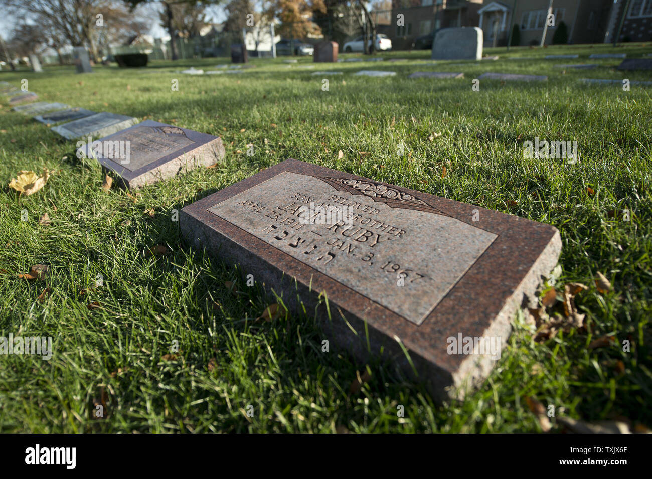 Jack Ruby's gravestone rests in Westlawn Cemetery in Norridge, Illinois on  November 14, 2013. A live television audience watched as Ruby killed Lee  Harvey Oswald, accused assassin of President John F. Kennedy,