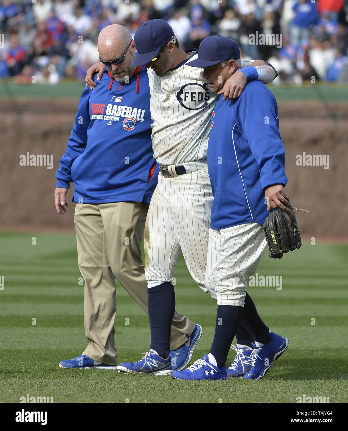Chicago Cubs manager Rick Renteria (R) and a trainer help left fielder Justin Ruggiano off the field after he injured himself while trying to make a catch during the ninth inning of the Wrigley Field 100th anniversary game against the Arizona Diamondbacks at Wrigley Field on April 23, 2014 in Chicago. The Cubs wore the uniforms of the Chicago Federals, the original team to play in Wrigley Field, while the Diamondbacks donned the uniforms of the Kansas City Packers of the Federal League, a third professional baseball league that competed with the American and National Leagues and folded in 1915 Stock Photo