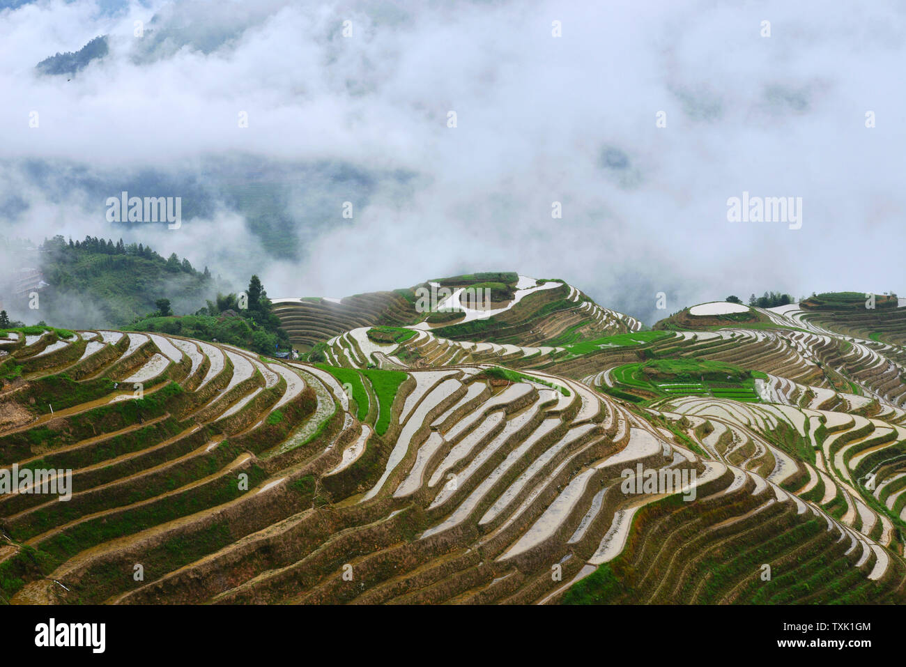 Guangxi dragon ridge terraces beautiful world Stock Photo - Alamy