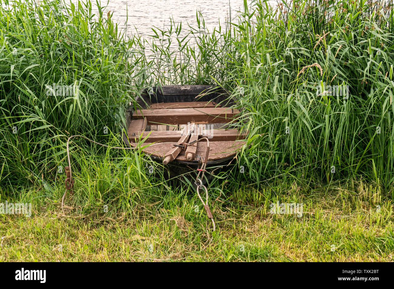Abandoned old wooden fishing boat on the shore Stock Photo - Alamy