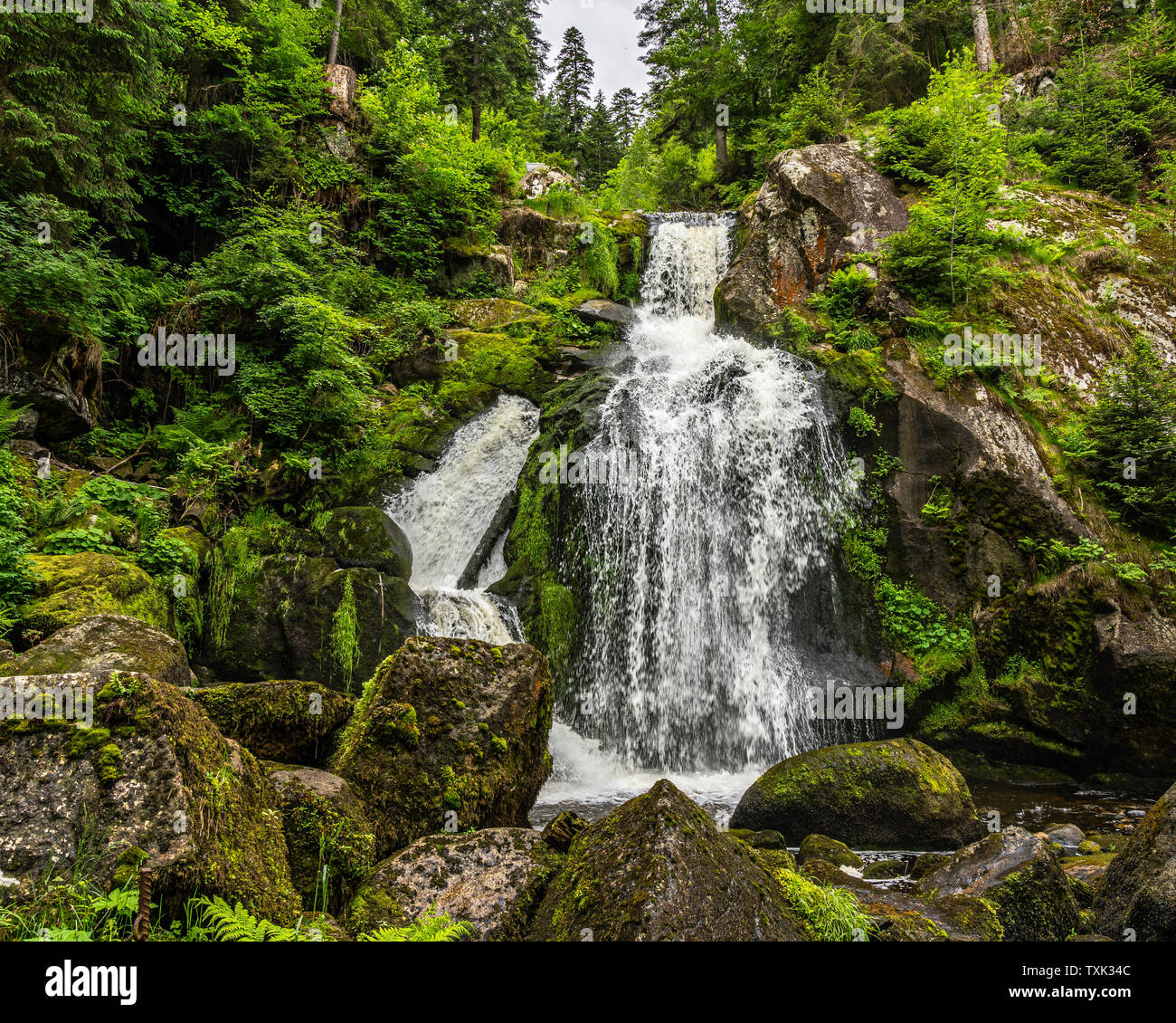 The Waterfall Cascade Of Triberg In The Black Forest Germany Stock The Waterfall Cascade Of Triberg In The Black Forest Germany Stock