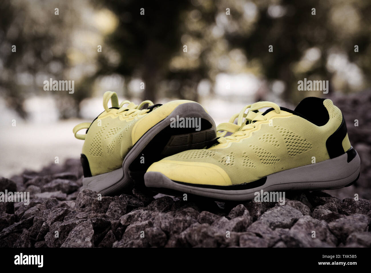 sneaker park website