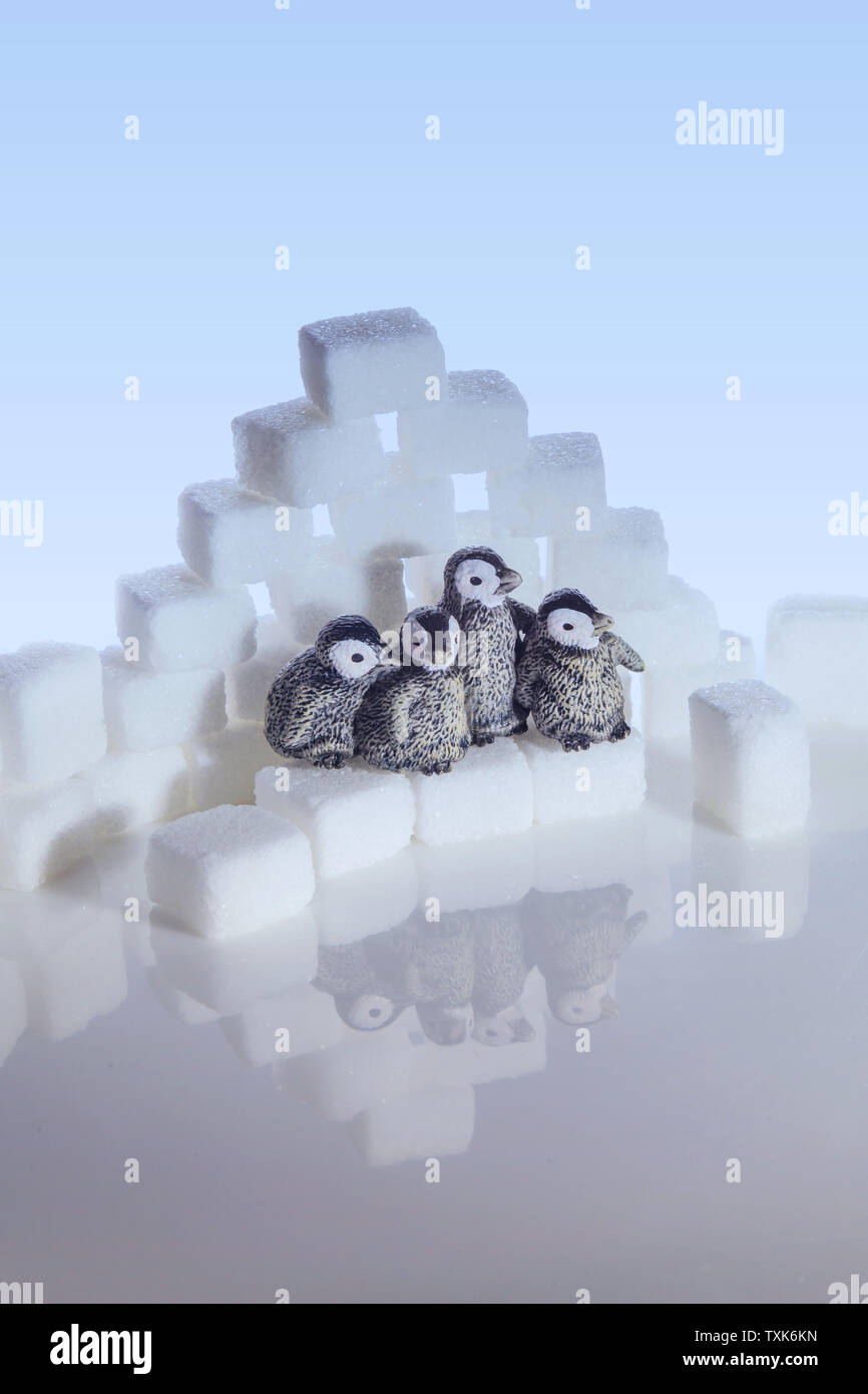 Creative filming cubes and penguins Stock Photo