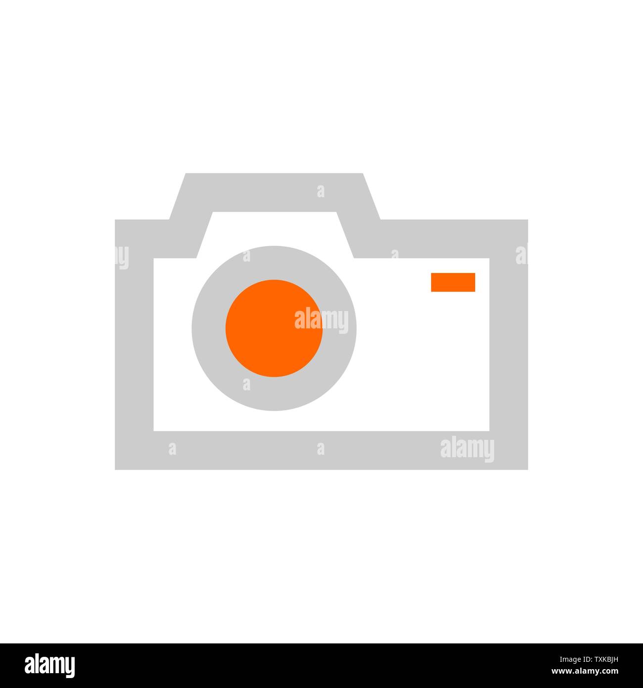 Vector illustration of professional and photo icon. Collection of ...